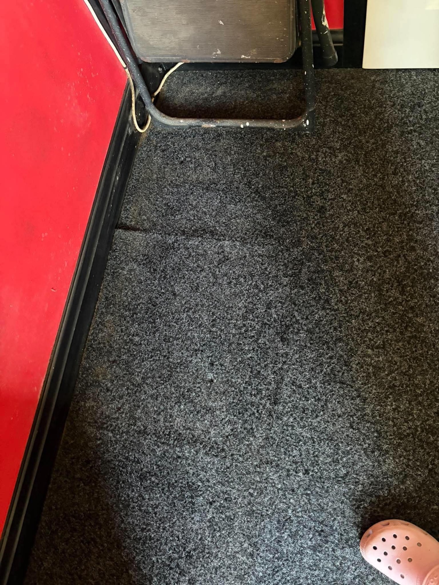 Dark carpet after cleaning looking fresher