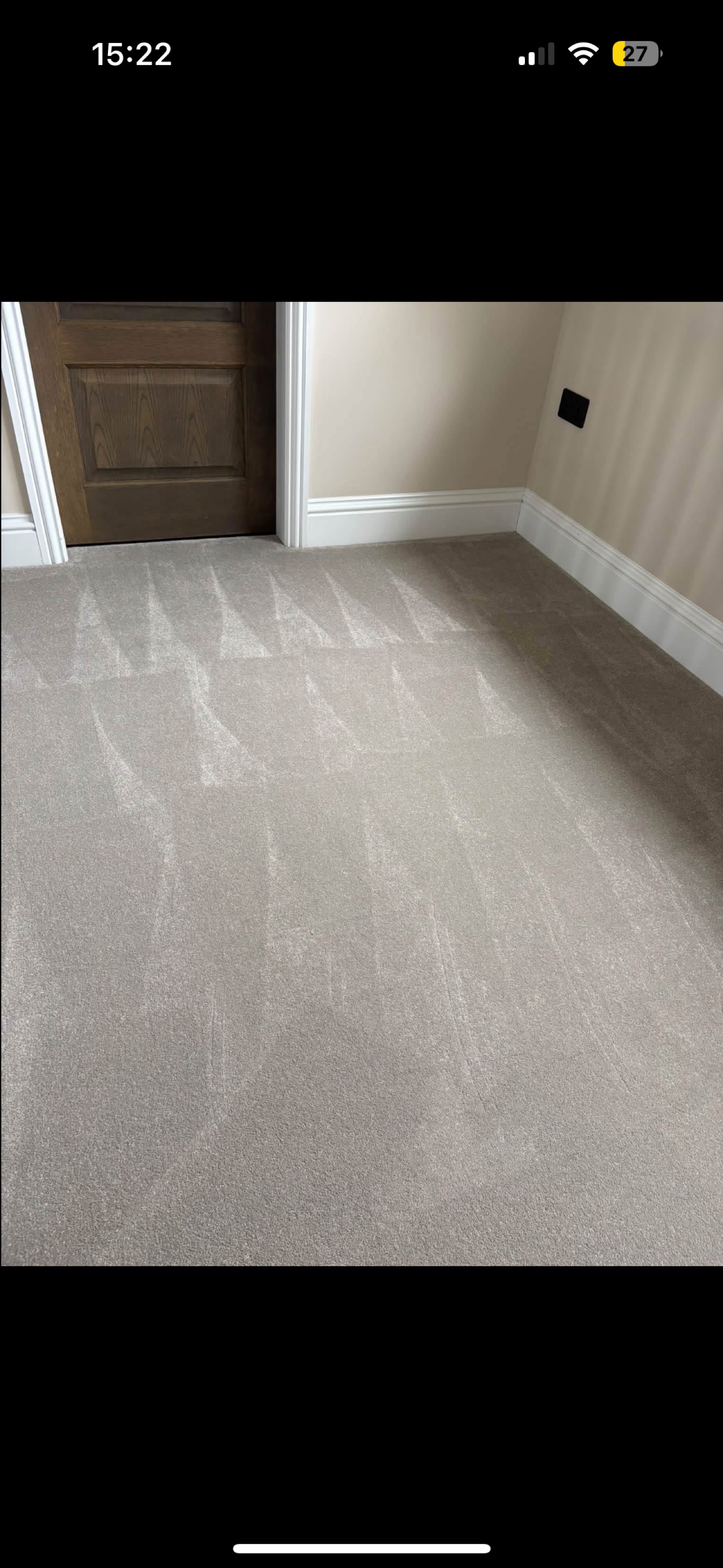 Freshly cleaned carpet