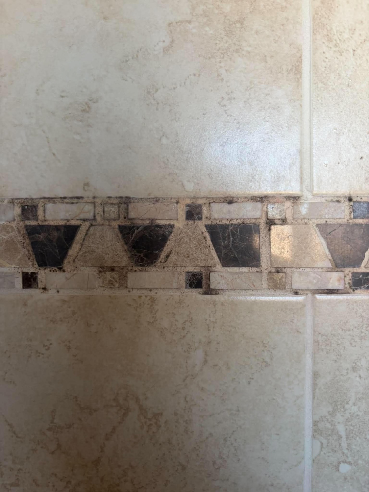 Shower tiles and grout before cleaning showing mould and dirt