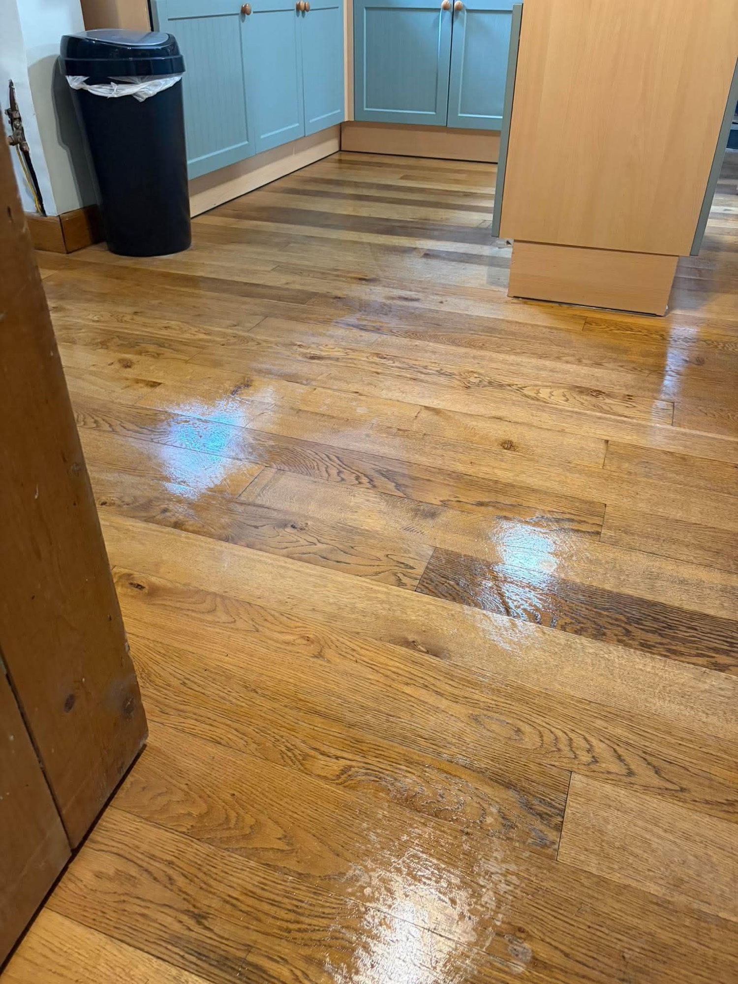 Freshly cleaned and polished wooden floor